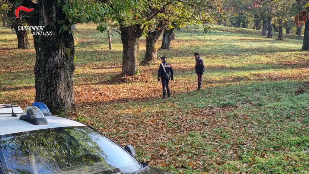 controlli serino san michele denunce