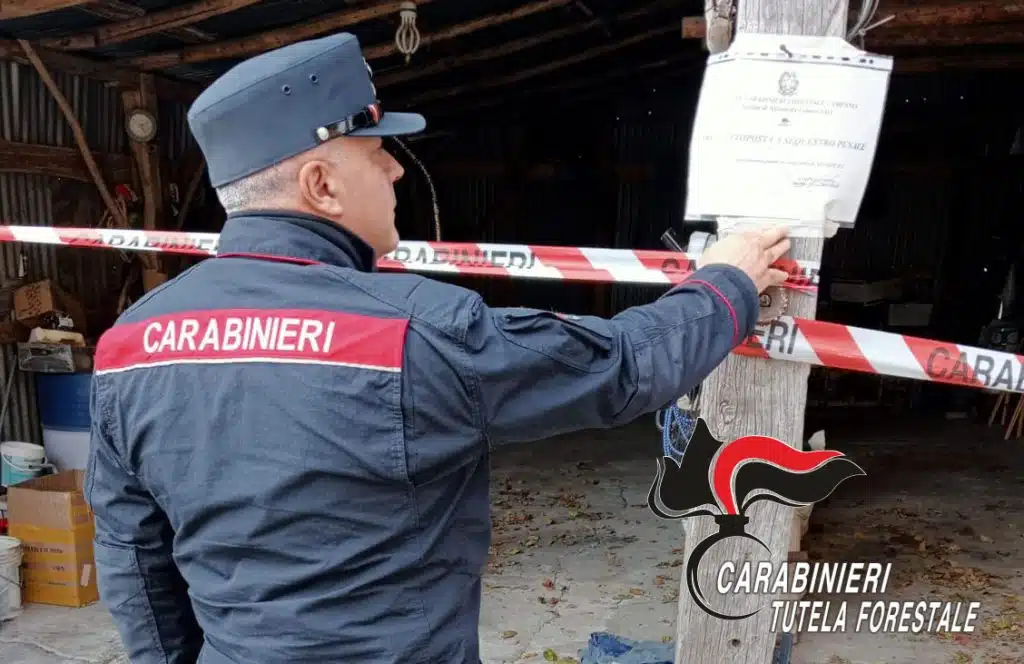 sequestro opificio serino