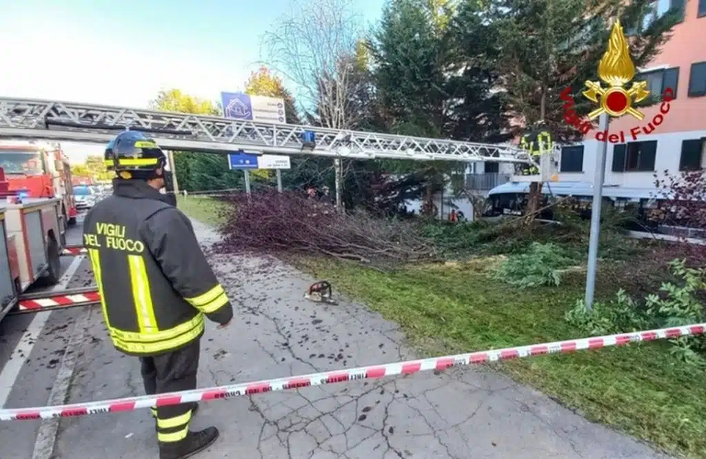 gorizia bus giardino morto autista