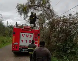 incidente sicignano degli alburni albero cavo luce