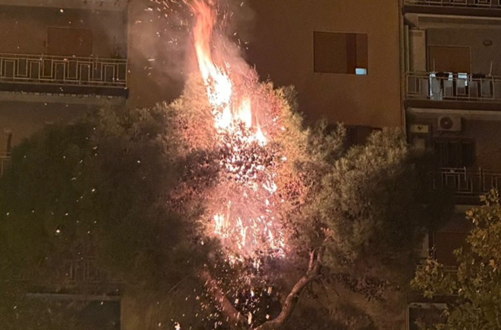 Battipaglia albero incendiato fuochi artificio