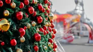 Napoli rubato albero Natale Orto Botanico