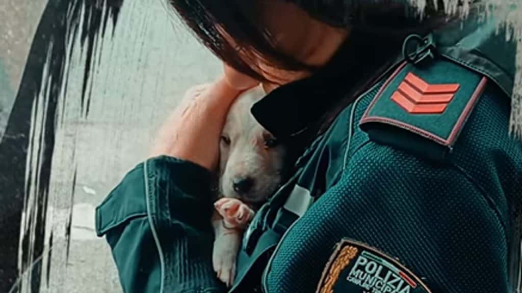 lancia fiume cagnolini cava de tirreni