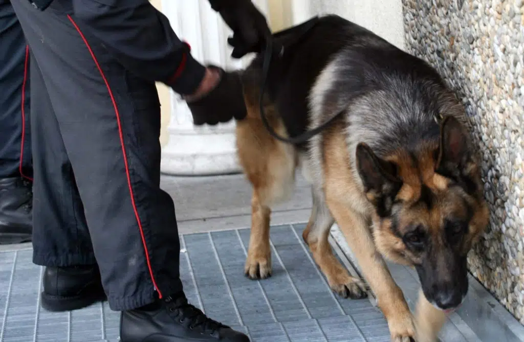 Lioni arrestato resistenza spaccio stupefacenti