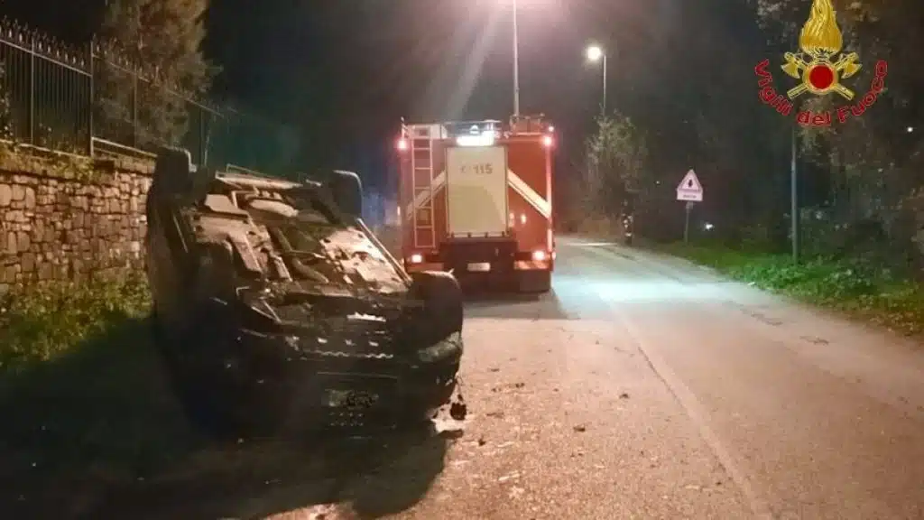 Incidente Avellino auto contro cinghiale