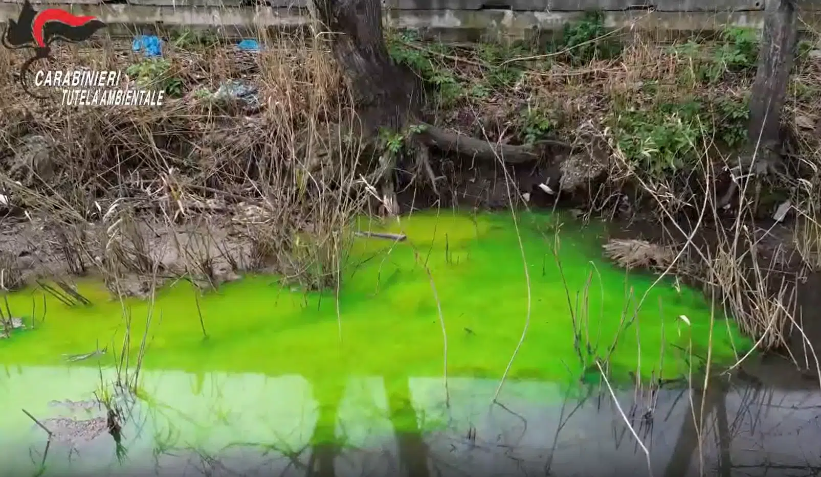 Scarichi nel fiume Sarno, sequestrata azienda dolciaria a Striano