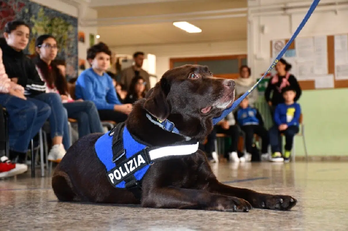 salerno-incontri-scuole-informare-pericoli-botti-di-capodanno