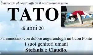 Cuneo, Piemonte blocca manifesto funebre per un gatto