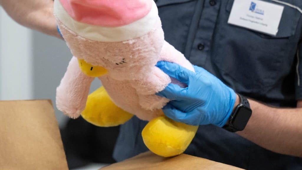 Droga nascosta peluche arrestato 22enne Orta di Atella