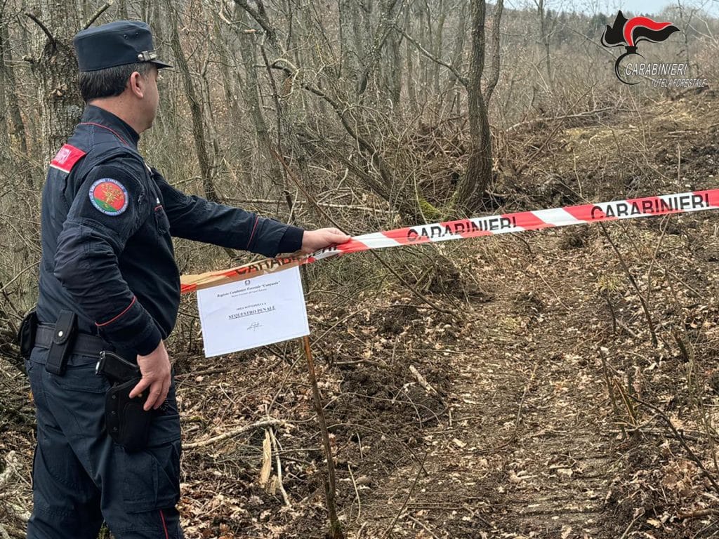 treviso distruzione bosco area vincolo idrogeologico denuncia