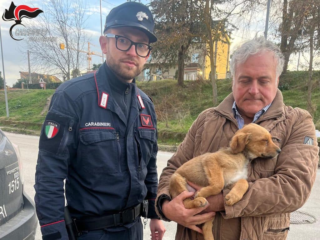 Calitri carabinieri salvano cucciolo cane