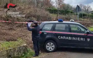 Avellino Distruzione bellezze naturali