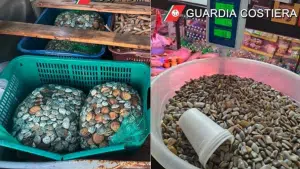 sequestro pesce pozzuoli napoli chiusa pescheria