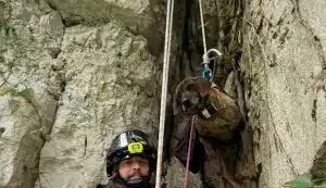 roscigno-cane-da-caccia-cade-nel-fiume-sammaro-salvato-dai-vigili-del-fuoco