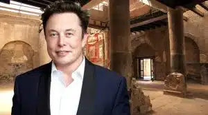 musk donazione papiri ercolano