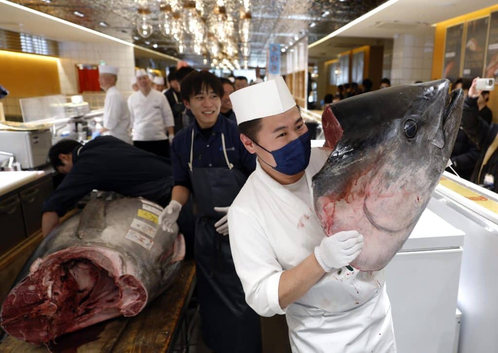 tokyo tonno venduto asta 5 gennaio