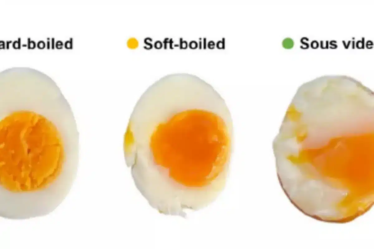 uovo sodo formula ideale scienza materiali