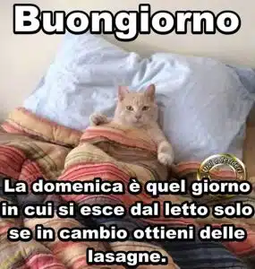 buon 9 febbraio 2025 frasi immagini più belle