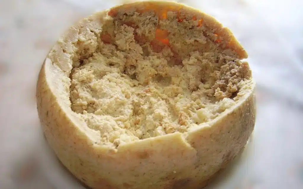 Il Casu Marzu tra tradizione e controversie: il formaggio sardo nel museo dei cibi più disgustosi