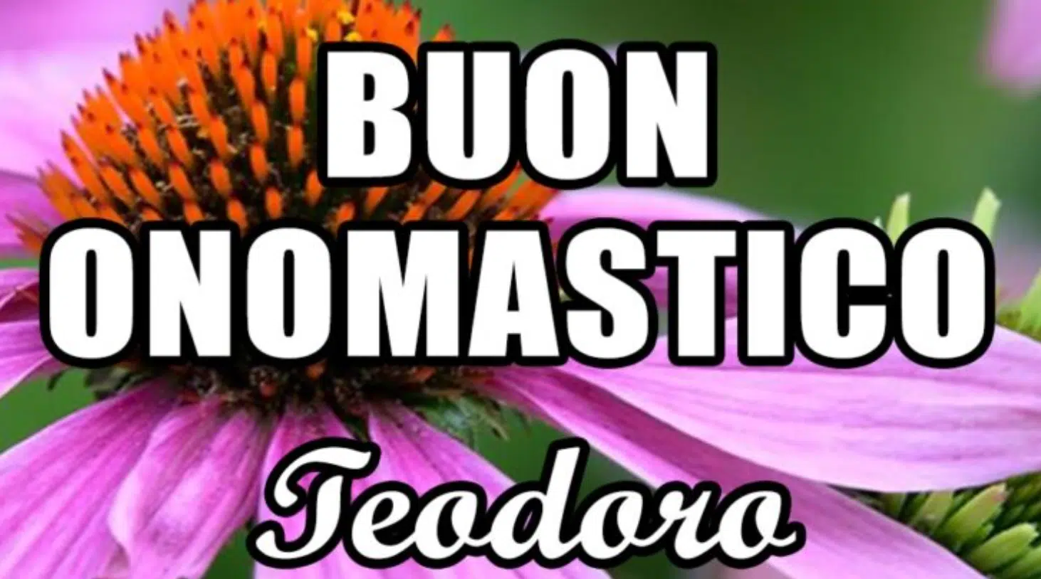 Buon onomastico Teodoro