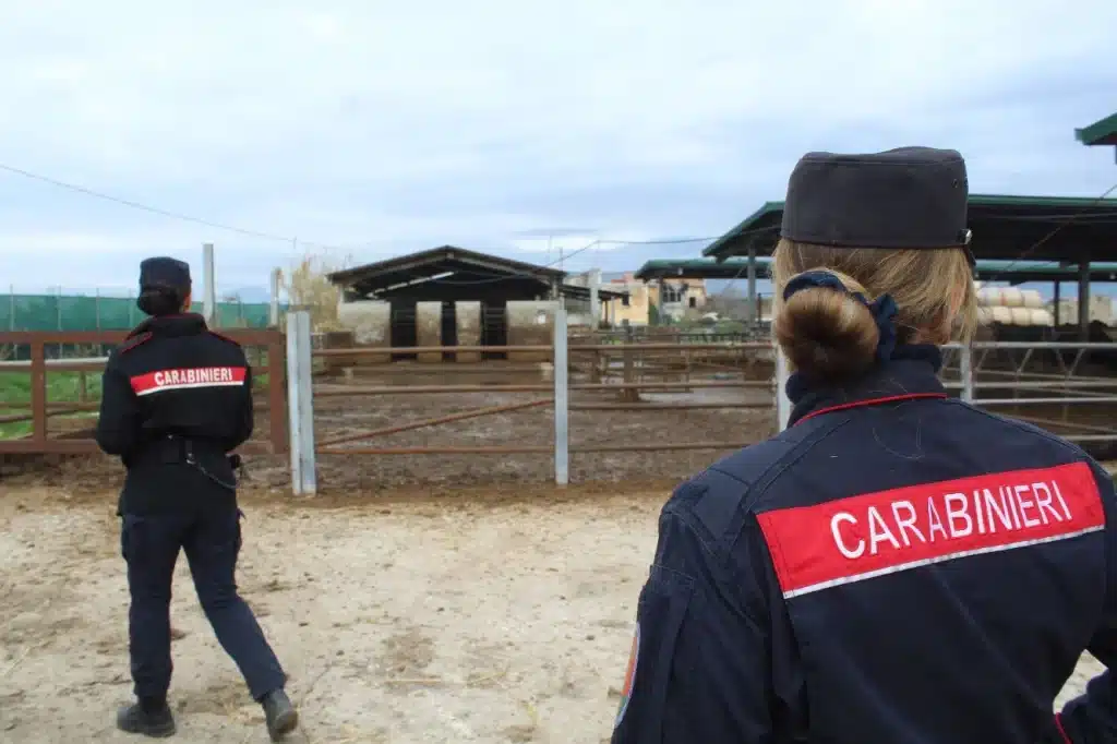 eboli sequestro azienda zootecnica 10 febbraio