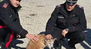 Foto dei Carabinieri