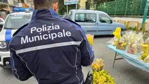 Arzano, blitz contro la vendita abusiva di mimose: sequestri e multe per oltre 15 mila euro