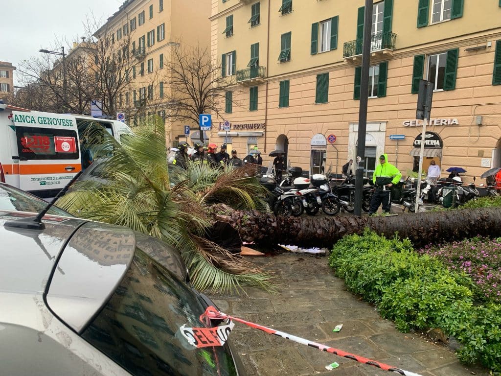 Genova morta palma crollata 