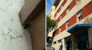 ancona blatte stanza bambino operato ospedale