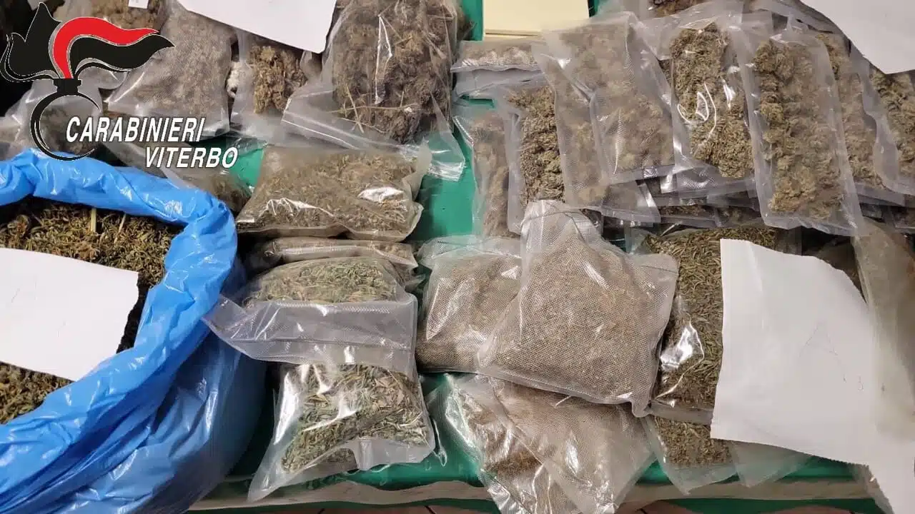 Arrestato con 10 chili di marijuana: 45enne salernitano a processo per spaccio