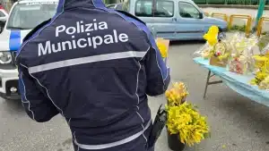 mimose contro polizia municipale denunciato castel volturno