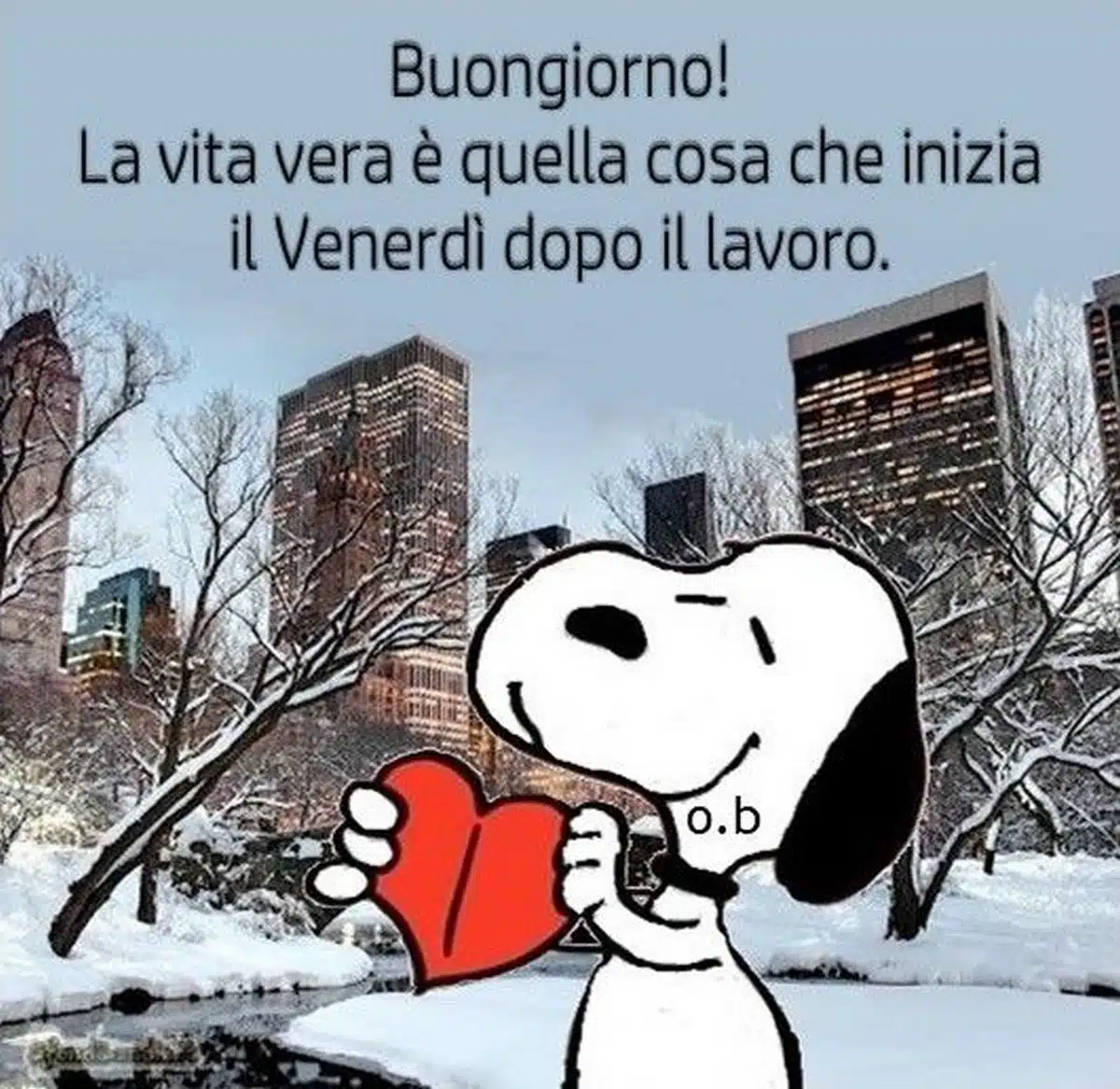 buon 14 marzo 2025 frasi immagini più belle