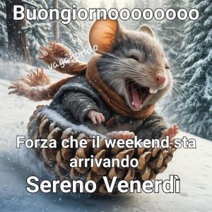 buon 21 marzo 2025 frasi immagini più belle