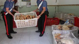 aversa sequestro pane prodotti gastronomici